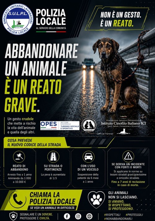 ABBANDONARE UN CANE NON È UNA SCELTA. È UN REATO.